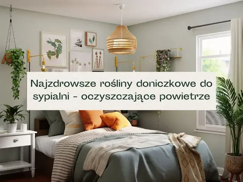 Zdjęcie Kwiaty, które nie powinny być w sypialni – unikaj ich dla lepszego snu
